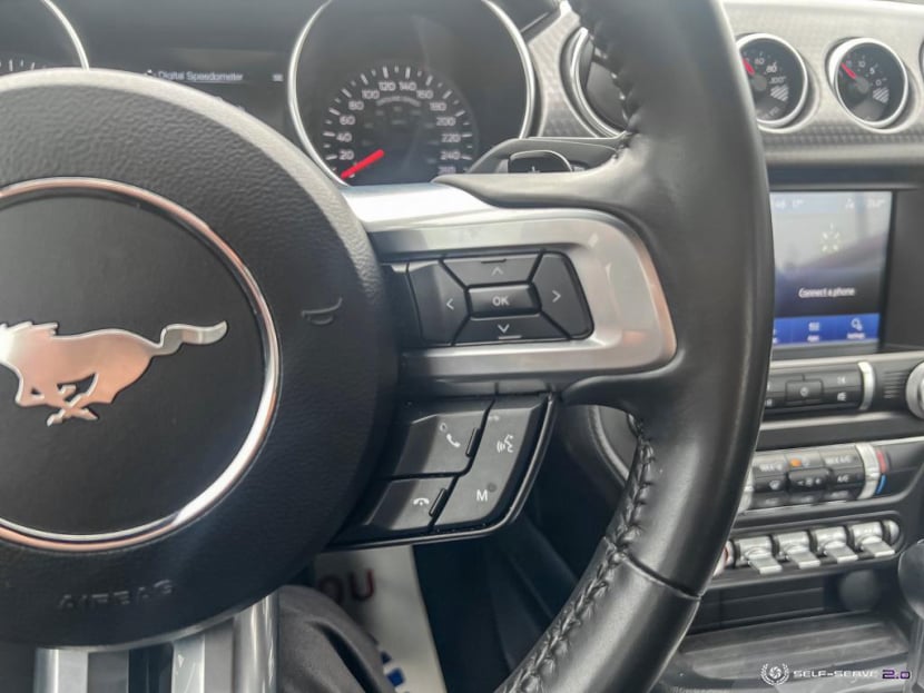 Mustang